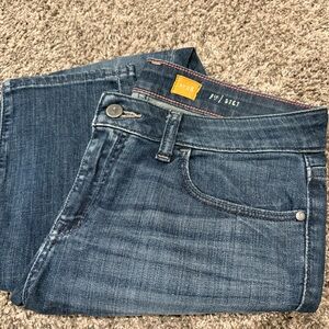 Pilcro jeans Stet Skinny Leg Anthropology